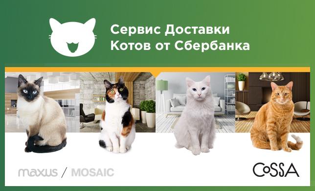 Как продать квартиру с помощью котов: проект Mosaic и Maxus для «Сбербанка»