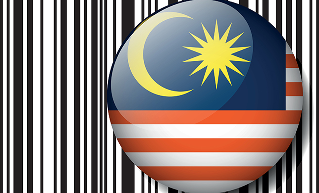 Digital-рынки: Малайзия — состояние и перспективы 