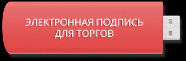 Путеводитель начинающего участника электронных торгов..