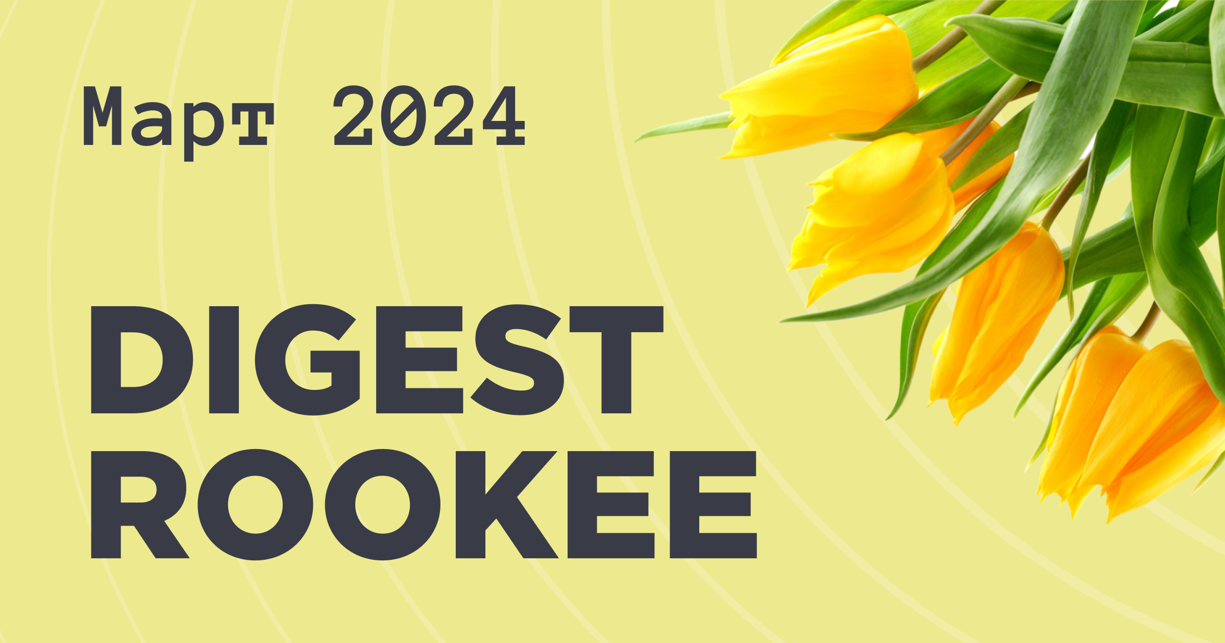Дайджест главных новостей SEO от Rookee – март 2024