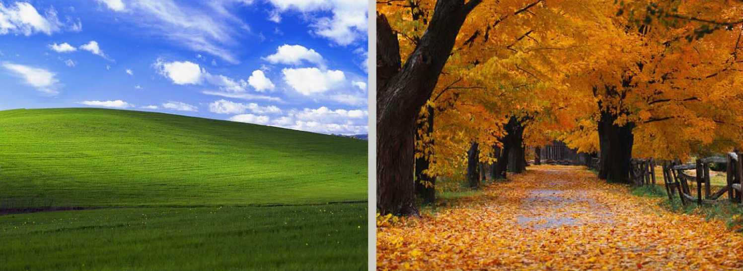 «Безмятежность» и «Осень» для Windows XP