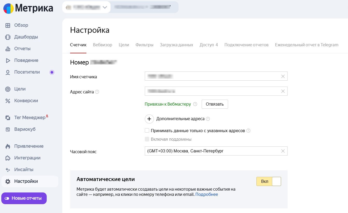 Раздел настроек счетчика Яндекс.Метрики