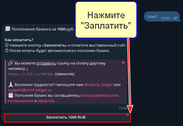 Кнопка Заплатить