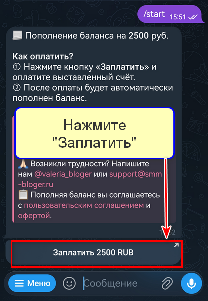 Кнопка Заплатить