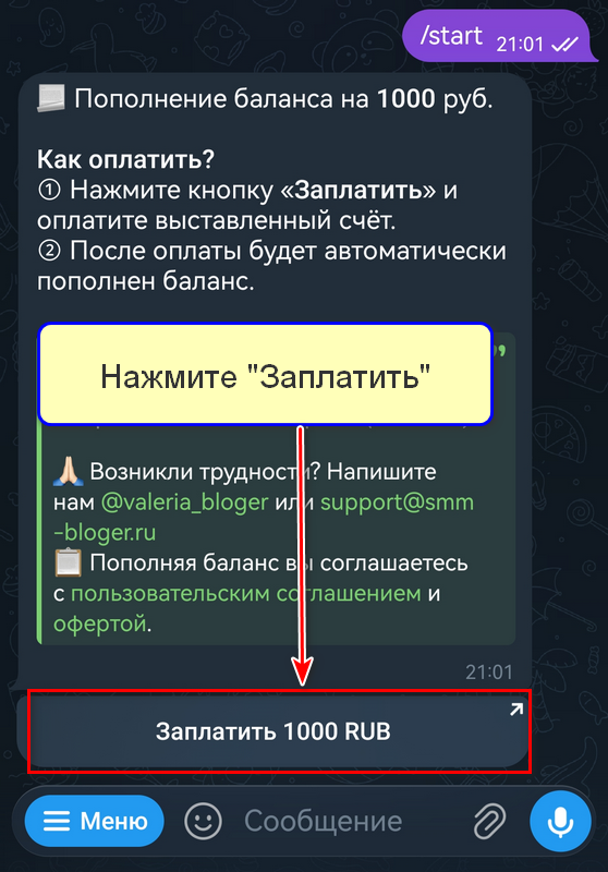 Кнопка "Заплатить"