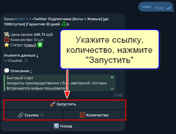 Настройка и запуск заказа