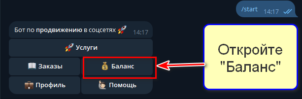 Раздел Баланс в интерфейсе бота