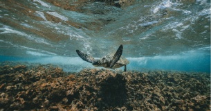 Как выбрать сервис GEO-аналитики для бизнеса