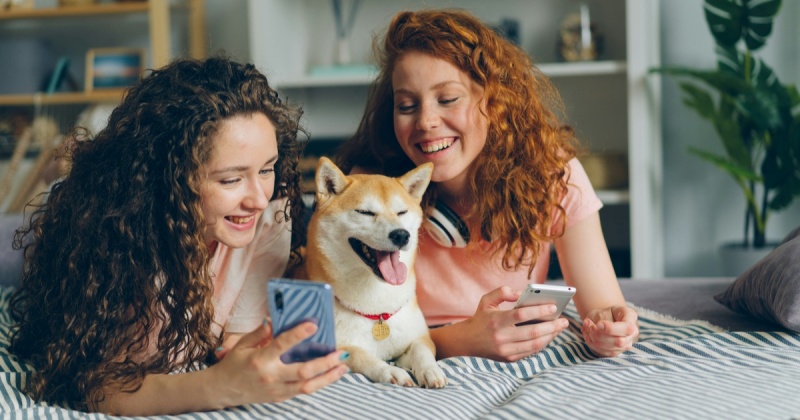 Партнёрский маркетинг — самый прозрачный вид рекламы в 2026 году