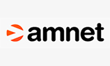 Еще одна компания по закупке RTB-рекламы: Amnet