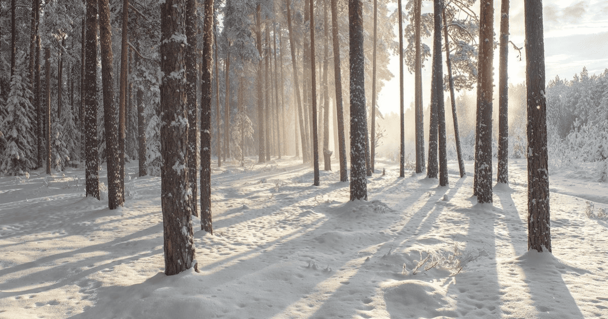 Дайджест февраля 2026: партнерские новости РФ, РБ и Казахстана  Источник: https://partnerkin.com/pbl