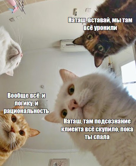 Продажи на автопилоте: нейрофишки, которые заставят мозг клиента сказать «Да»