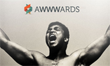 В жюри Awwwards-2016 попали три представителя российских агентств