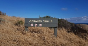 Answer Engine Optimization (AEO) уже меняет российский цифровой ландшафт