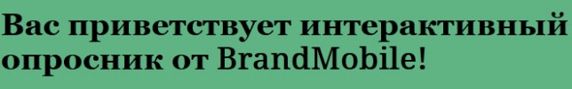 Менеджеры и маркетологи FMCG-компаний приняли участие в интерактивном опросе от Brand Mobile