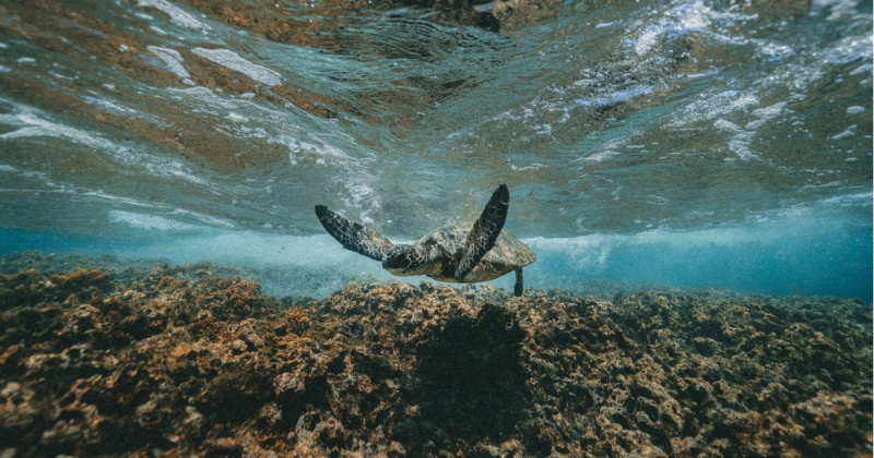 Как выбрать сервис GEO-аналитики для бизнеса