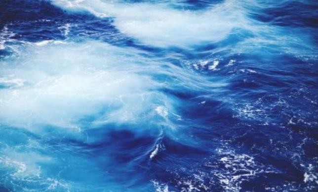 Голубые и алые океаны, или Почему не стоит бояться конкуренции
