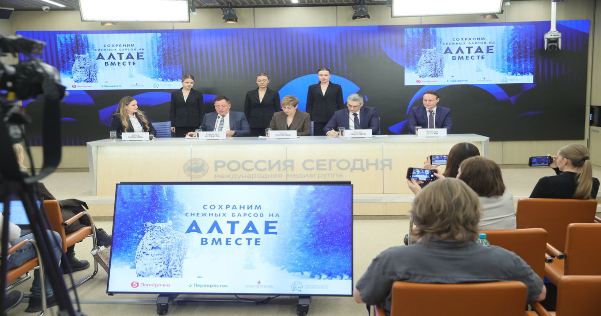 «Пятёрочка» подписала соглашение о сохранении и восстановлении популяции ирбиса