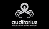 Auditorius будет конкурировать с Youtube на рынке видеорекламы