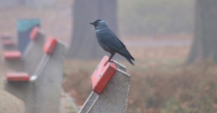 Как считаются и работают бенчмарки