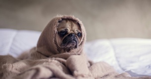 Как мы в агентстве прокачивали стрессоустойчивость команды с помощью нейроустройства Как мы в агентстве прокачивали стрессоустойчивость команды с помощью нейроустройства