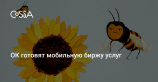 Одноклассники запустят экспериментальную биржу бытовых услуг
