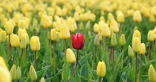 Персонализация без спама: как ecommerce повышает лояльность с помощью умных рассылок