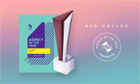 Агентство из Воронежа признано лучшим в мире по версии CSS <b>Design</b> Awards