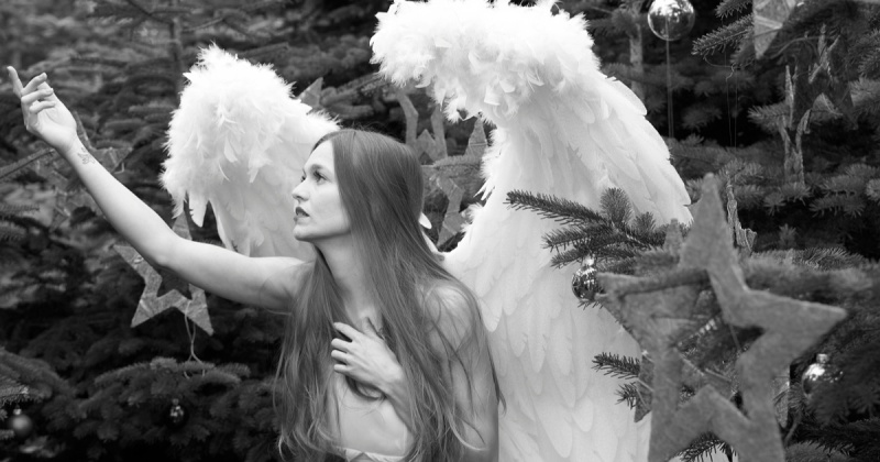 Как рекламироваться в Дзене: гайд по форматам и возможностям