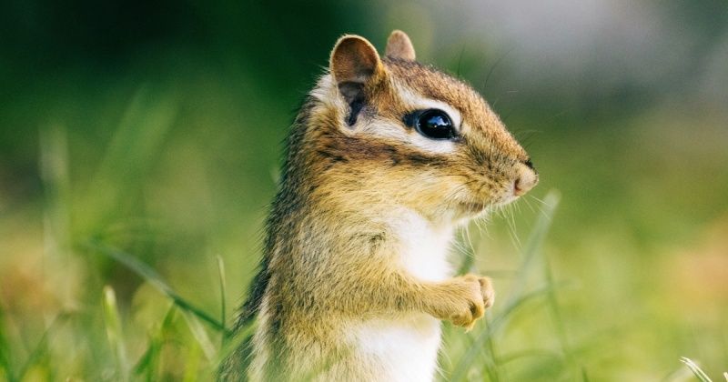 Невидимый KPI: почему мы считаем стажировку мощным SMM-инструментом