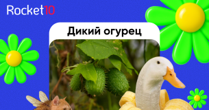 ИМБА в мобильном маркетинге: как сделать креативы, которые зацепят зумеров. Опыт Rocket10
