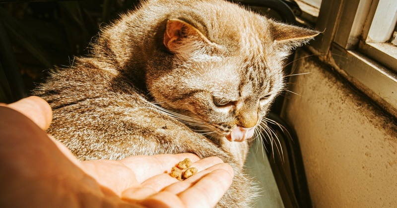 B2B-маркетинг после запретов: куда уходят бюджеты и как брендам искать контакт с клиентом