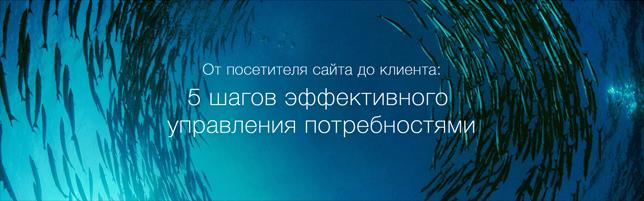 От посетителя сайта до клиента: 5 шагов эффективного управления потребностями