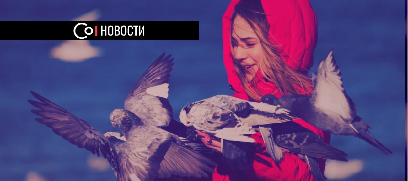 Skillbox поможет компаниям бесплатно находить сотрудников из digital-сферы