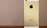 Новый iPhone будет золотого цвета