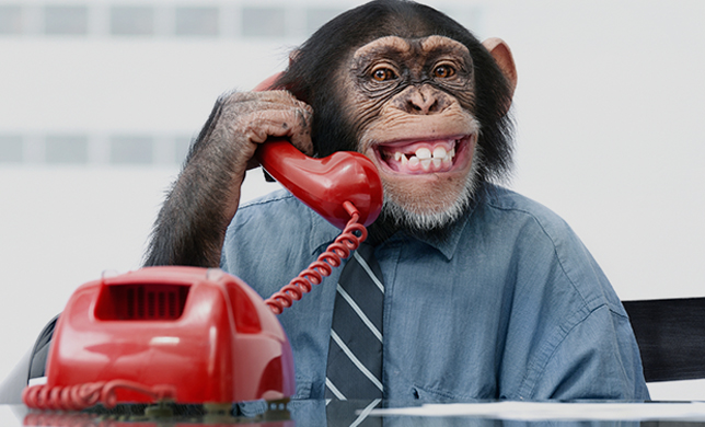 13 важных свойств, которых не хватает в Google call tracking