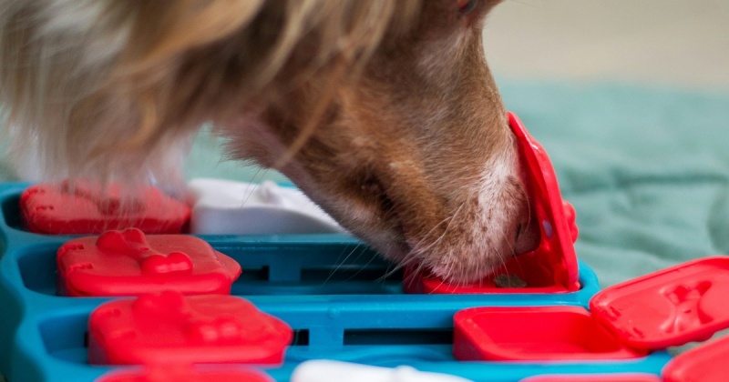 Нейропоиск: новые возможности для маркетологов малого и среднего бизнеса