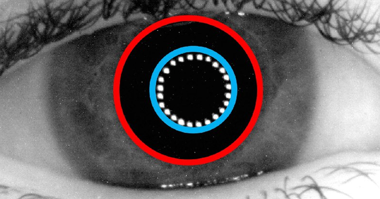 Лайфлоггинг, он же Quantified Self: анализируем человека, словно сайт