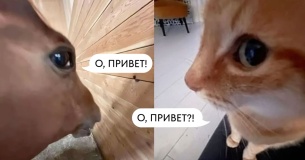 Неслучайные связи: нетворкинг для агентств и экспертов