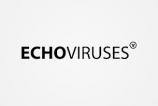 Агентство ECHOVIRUSES: Новый медиа порядок