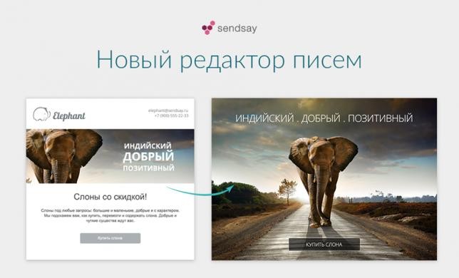 Новый редактор Sendsay: красивые письма без дизайнера