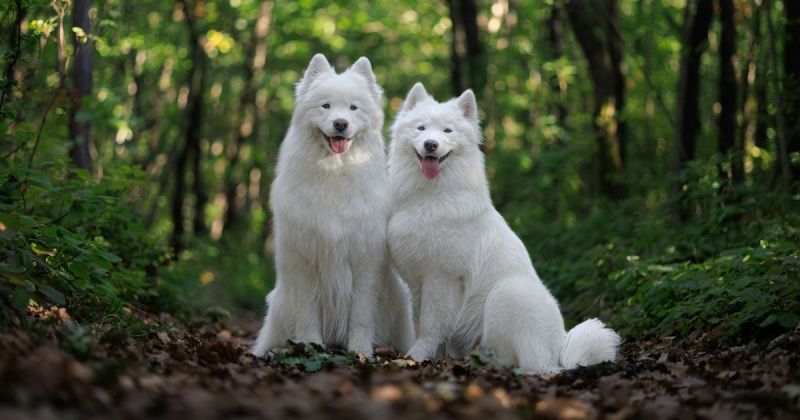 Как сэкономить на рекламе в VK: выбираем между старым и новым кабинетом