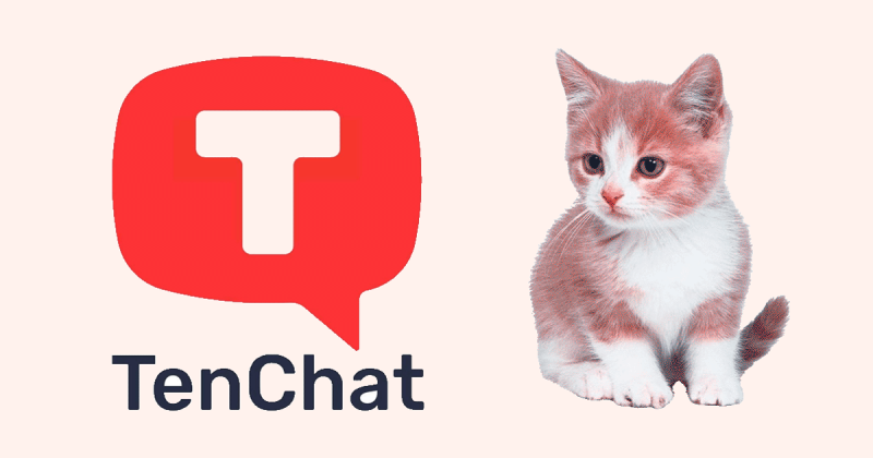 Решение бизнес-задач через TenChat: кейсы пользователей