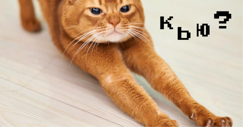 Яндекс.Кью для экспертов. Как привлечь клиентов полезными советами