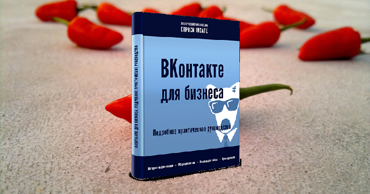 ВКонтакте для бизнеса: практическое руководство. Выдержки из книги