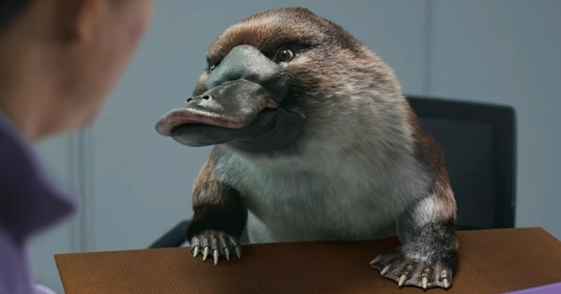 От цифр к честности: как банки меняют язык коммуникации и почему этот переход стал неизбежным