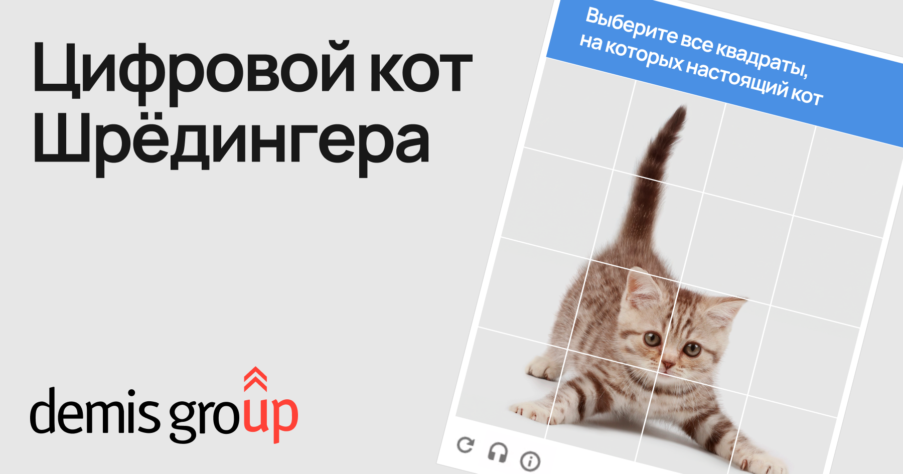 Цифровой кот Шрёдингера