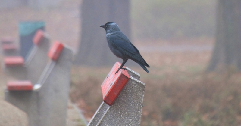 Как считаются и работают бенчмарки