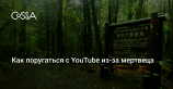 YouTube приостановил работу с топ-влогером после видео из «леса самоубийц»