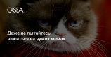 Grumpy Cat отсудила у кофейной компании 710 000 $ за нарушение авторских прав